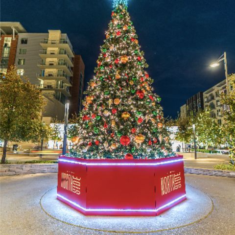 The Domain Holiday Tree Light Show